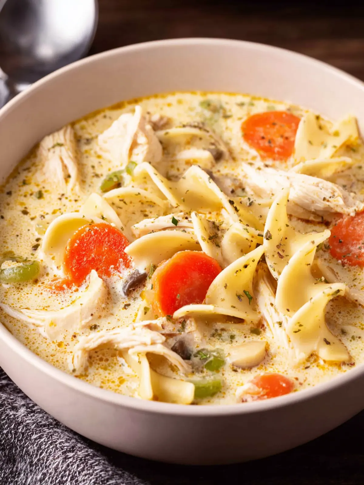 Creamy Chicken Noodle Soup First Image